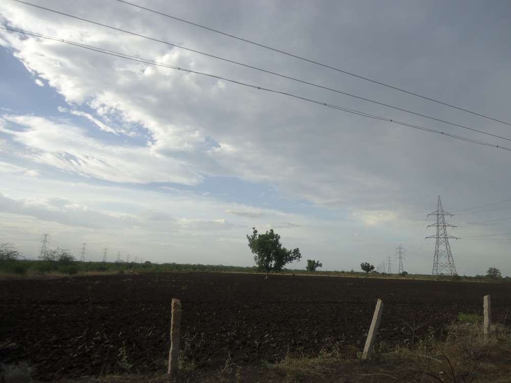 Rain-fed agriculture lands in Tamil Nadu